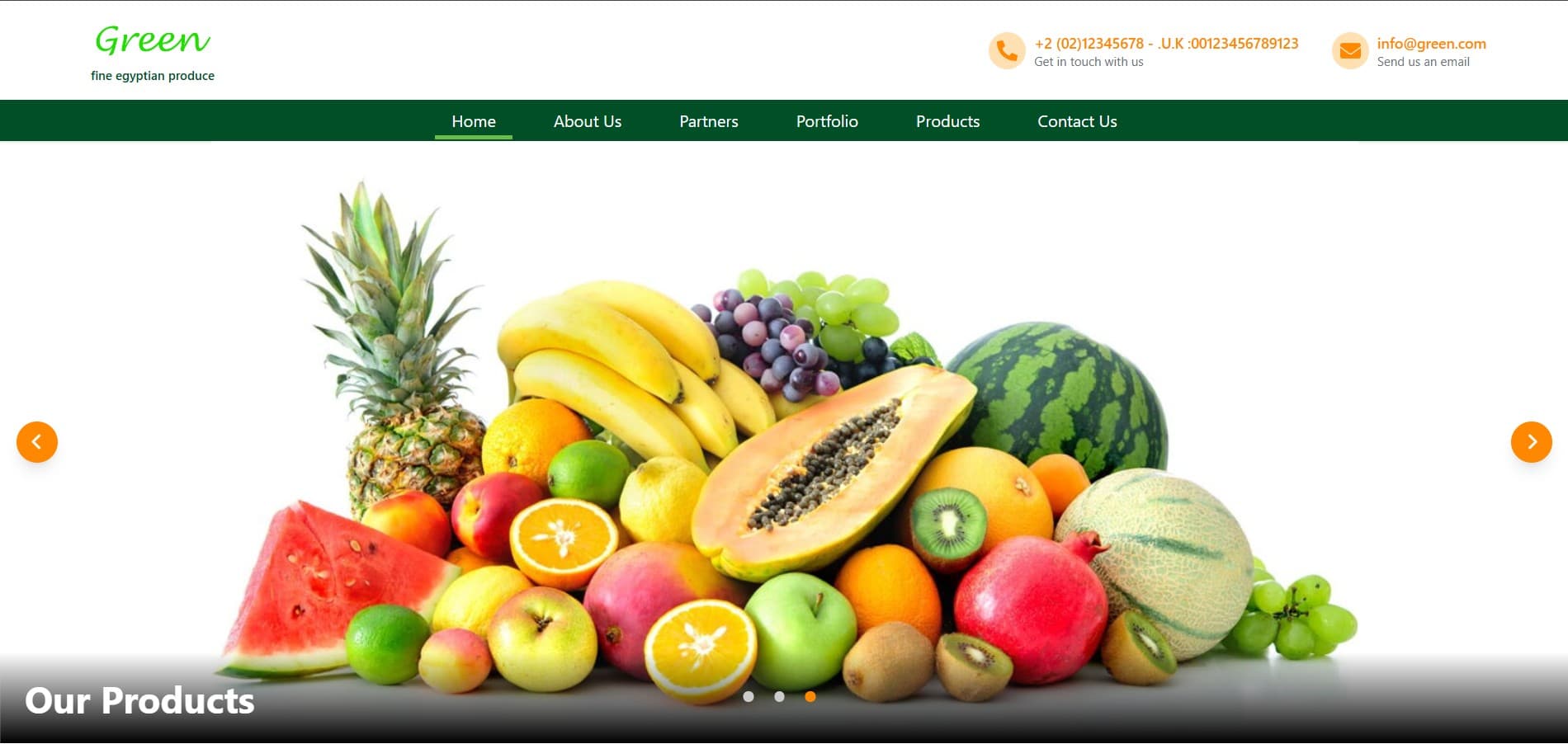 Egypro-Co Website — screenshot 1